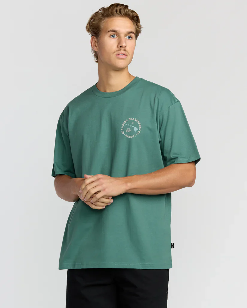 BILLABONG ALOHA ISLAND HI REGULAR TEE - SAGE GREEN - Image 2
