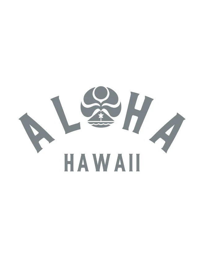 HIC ALOHA ARCH HAWAII DECAL - GRAY