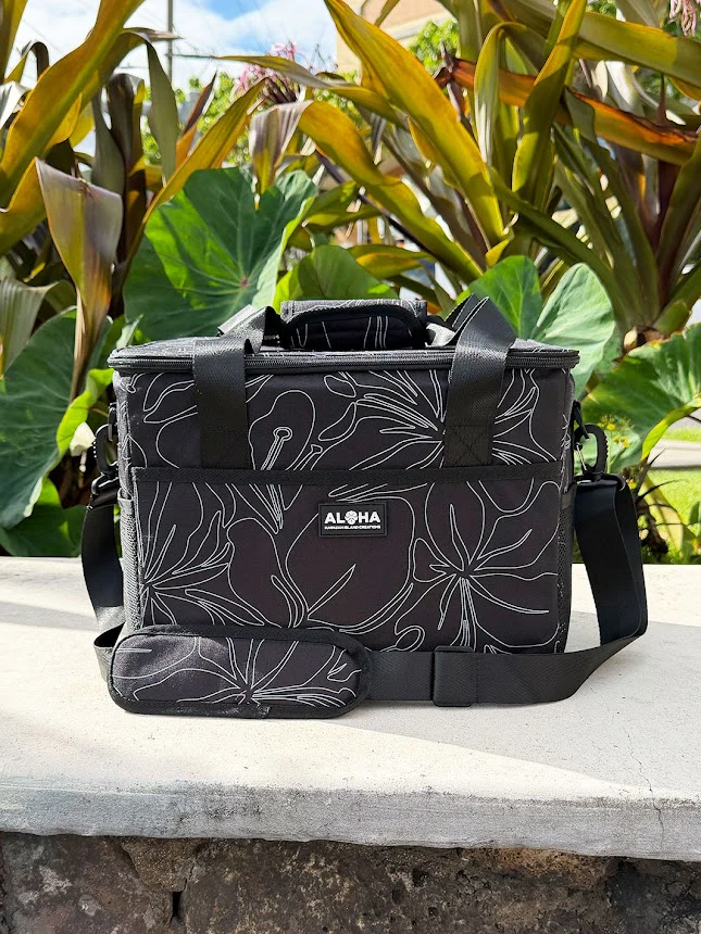 HIC COOLER BAG 24 - GINGER