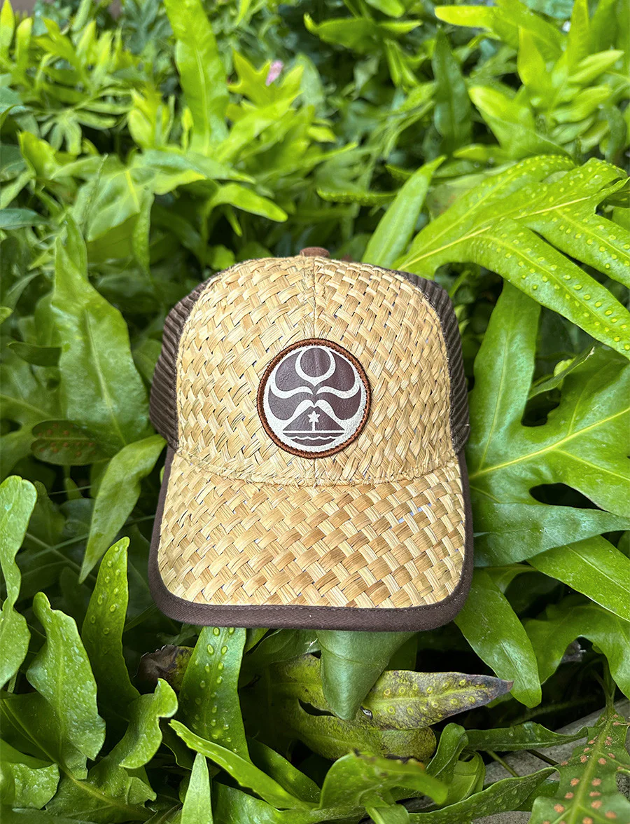 HIC FIJI DOT TRUCKER - BROWN