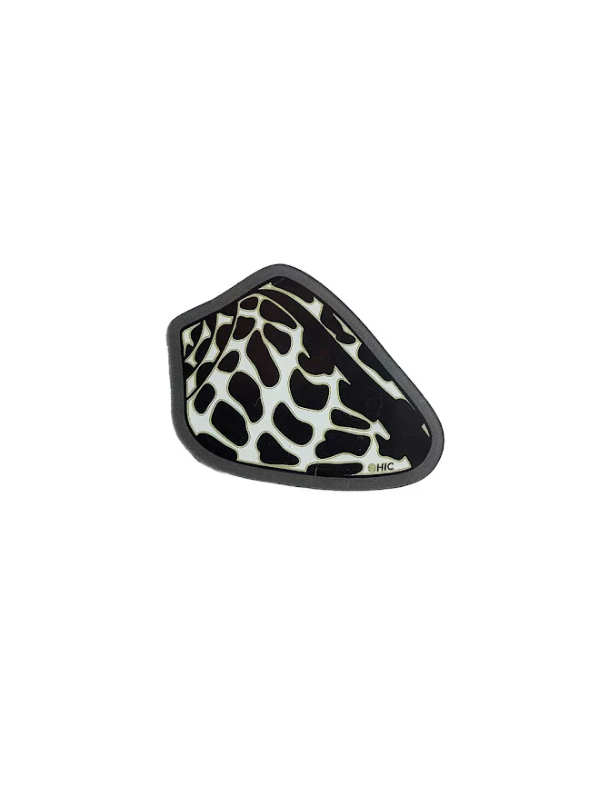 HIC MAGNET - HEBREW SHELL