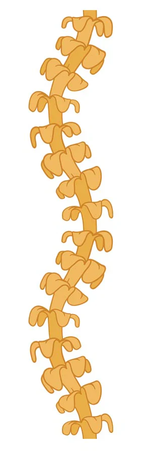 PUAKENIKENI CURVY LEI BAMBOO STICKER